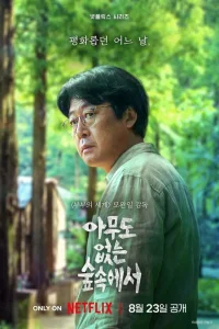  В лесу, где никого нет 